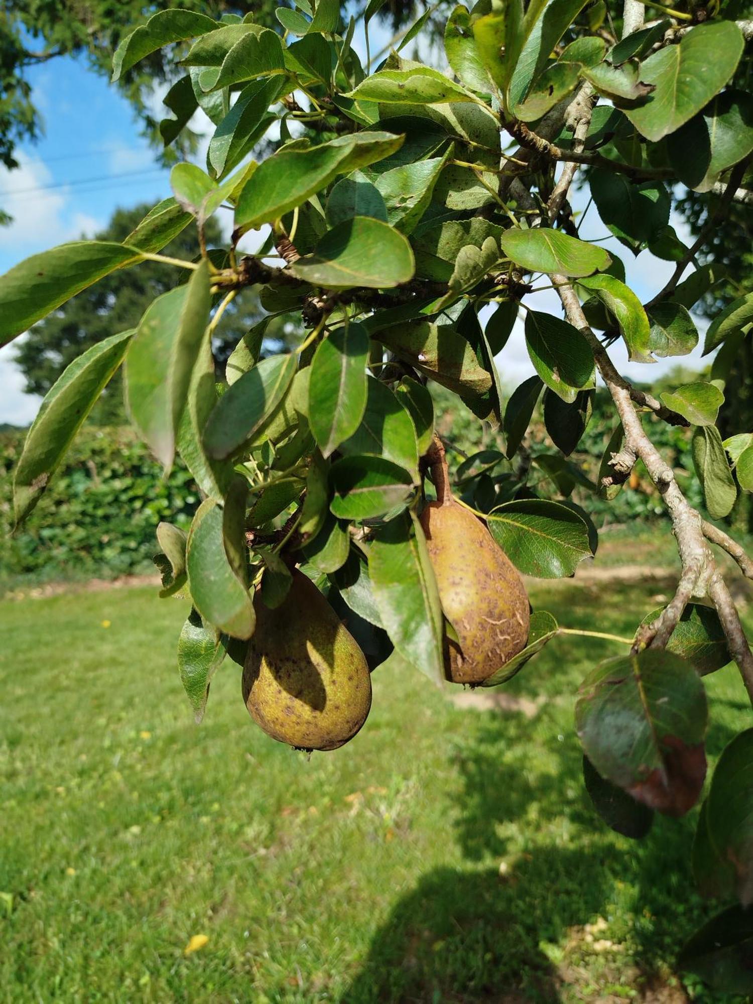 Le Gite De La Haie Portee Lignieres-Orgeres Ngoại thất bức ảnh
